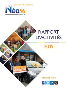 rapport activité 2015