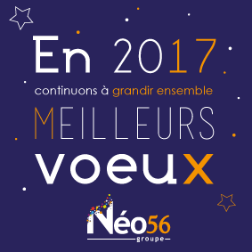 carte-de-voeux 2017