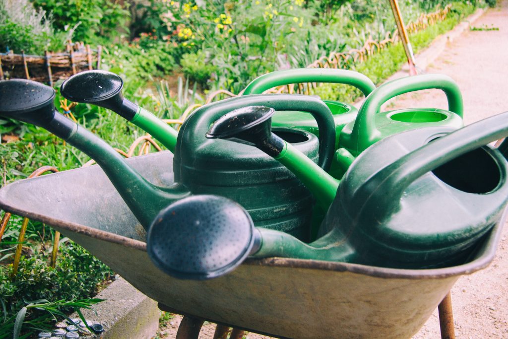 jardinage